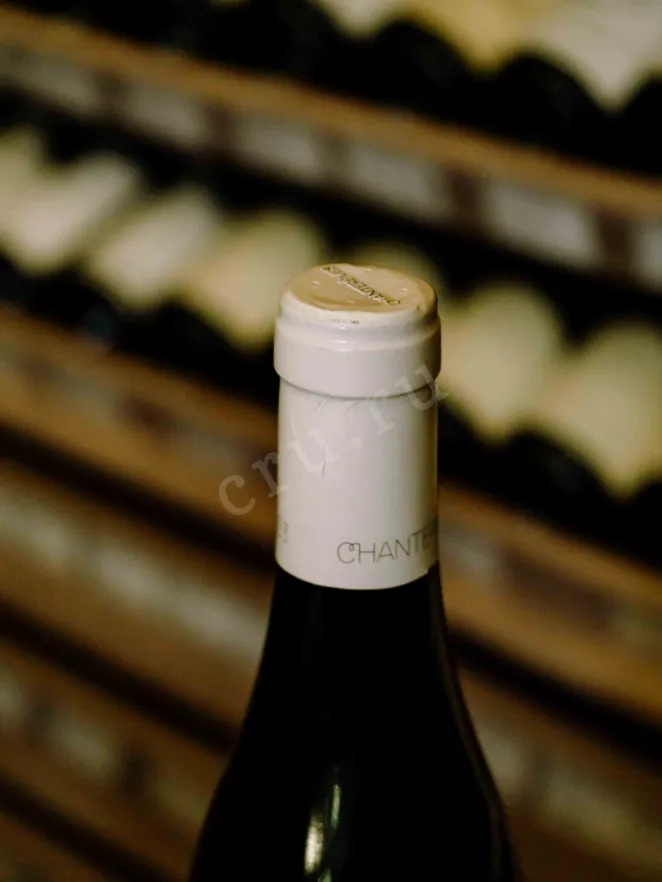 Пробка Chantereves Nuits-Saint-Georges 1er Cru Les Damode 2016 0.75 л