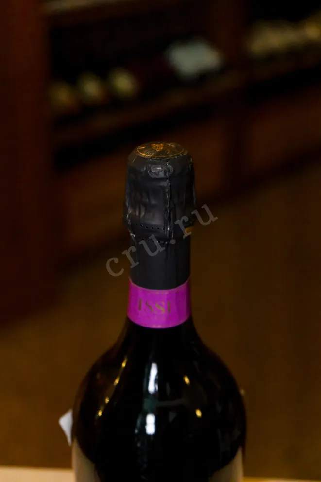Пробка Issi Prosecco DOC Millesimato 2023 0.75 л