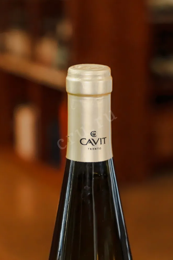 Пробка Mastri Vernacoli Sauvignon Blanc 2023 0.75 л