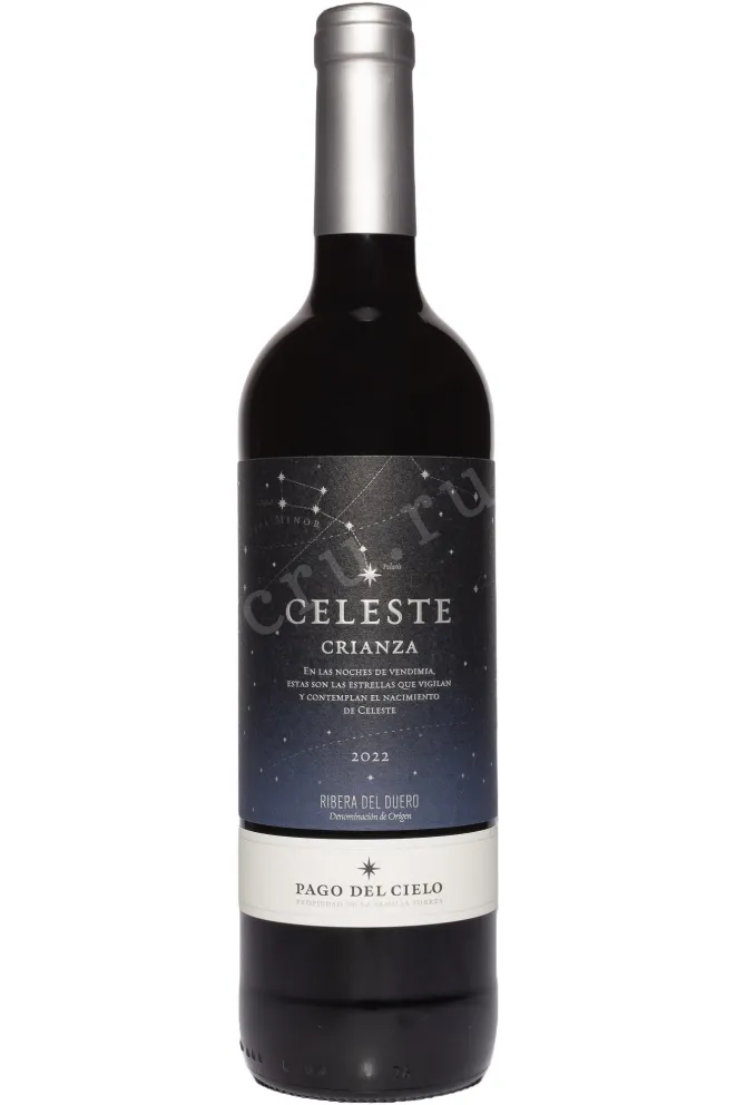 Вино Torres Pago del Cielo Celeste Crianza 2022 0.75 л