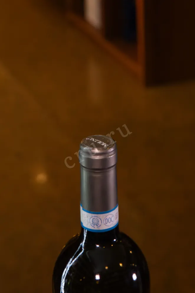 Пробка Mauro Molino Langhe Chardonnay 2019 0.75 л