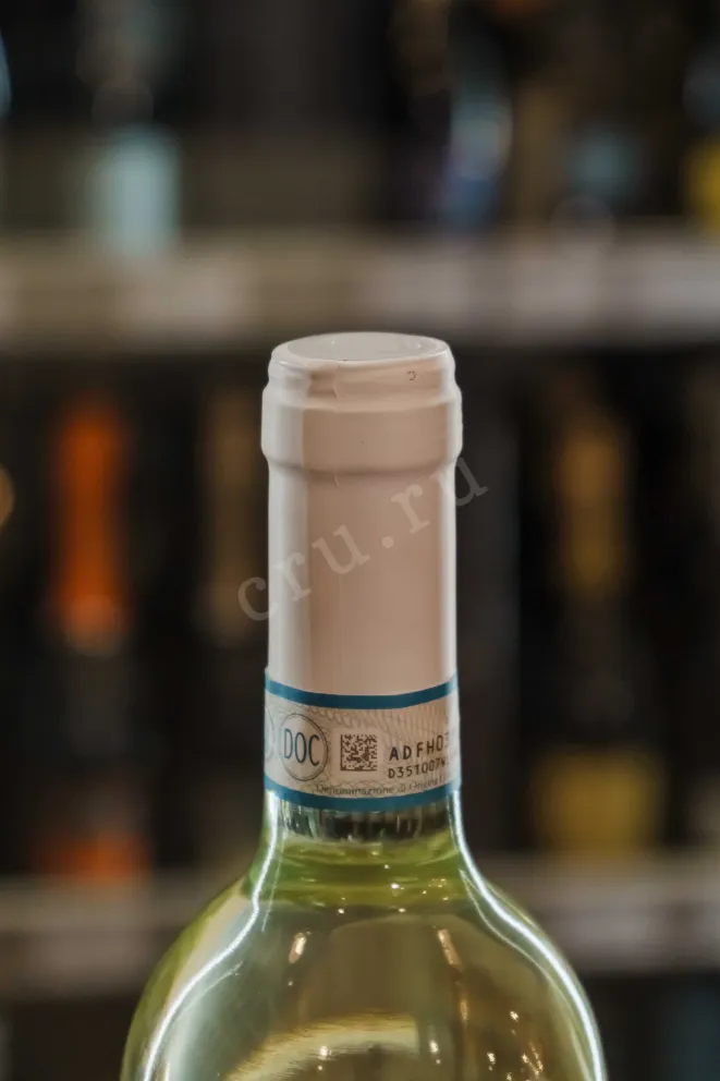 Пробка Gaetano Pinot Grigio Delle Venezie DOC 2024 0.75 л