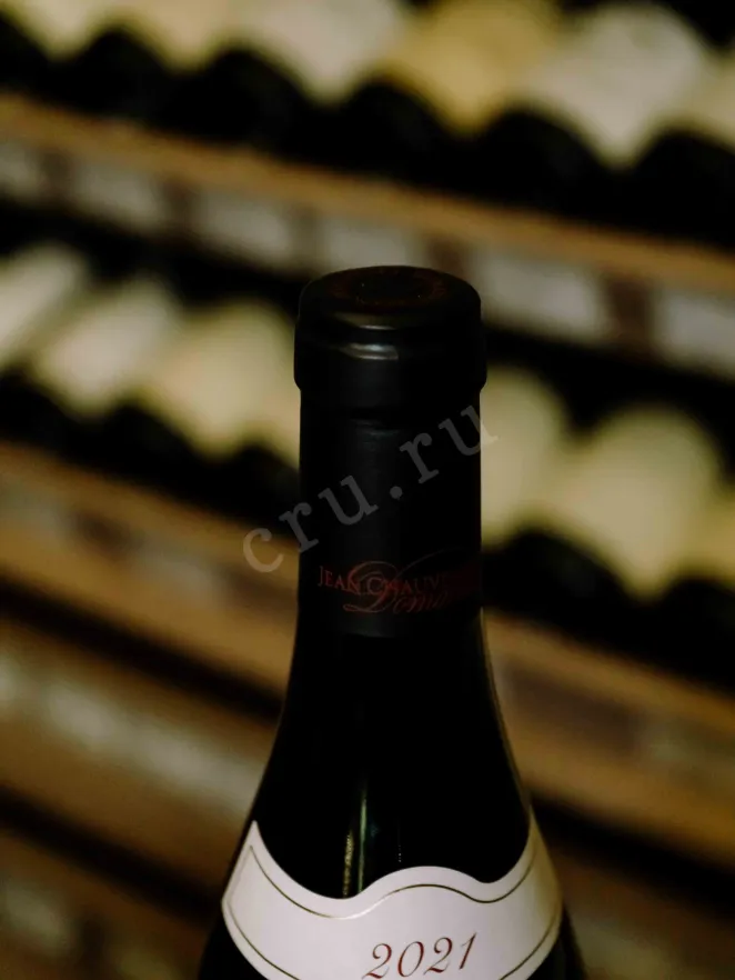 Пробка Domaine Jean Chauvenet Nuits-Saint-Georges Vieilles Vignes 2021 0.75 л