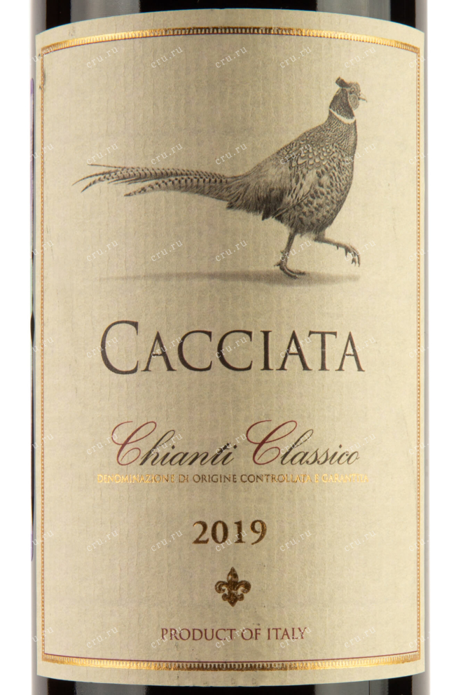 Этикетка Cacciata Chianti Classico 2019 0.75 л