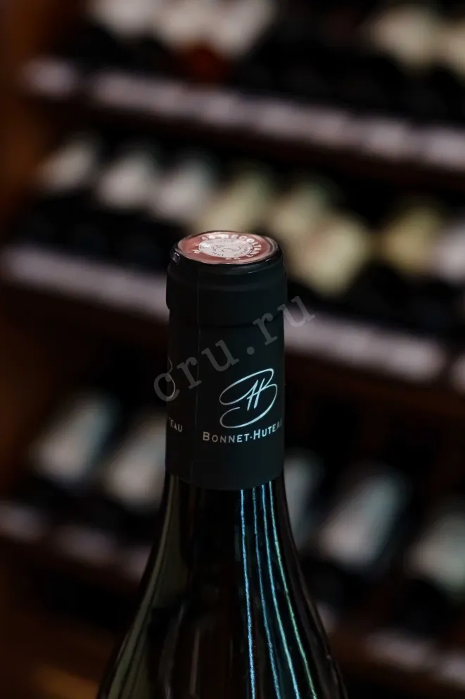 Пробка Bonnet-Huteau Clos Moulin Chartrie Muscadet Sèvre et Maine Sur Lie AOC 2023 0.75 л