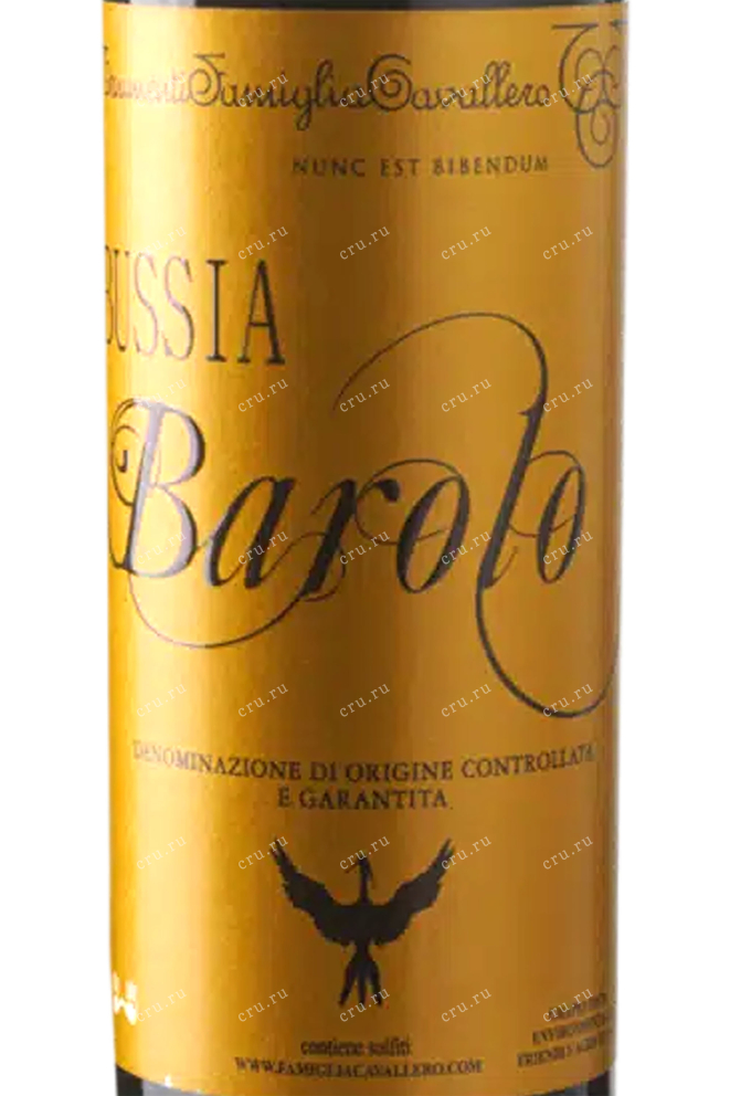 Бутылка Cantine Sant Agata Bussia Barolo 2010 0.75 л