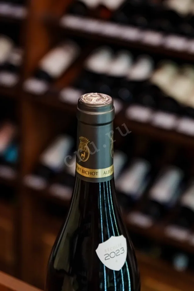 Пробка Albert Bichot Chateau de Dracy Pinot Noir Bourgogne 2023 0.75 л