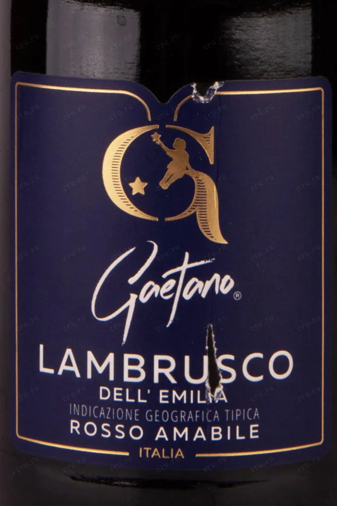 Этикетка Gaetano Lambrusco dell Emilia  2021 0.75 л