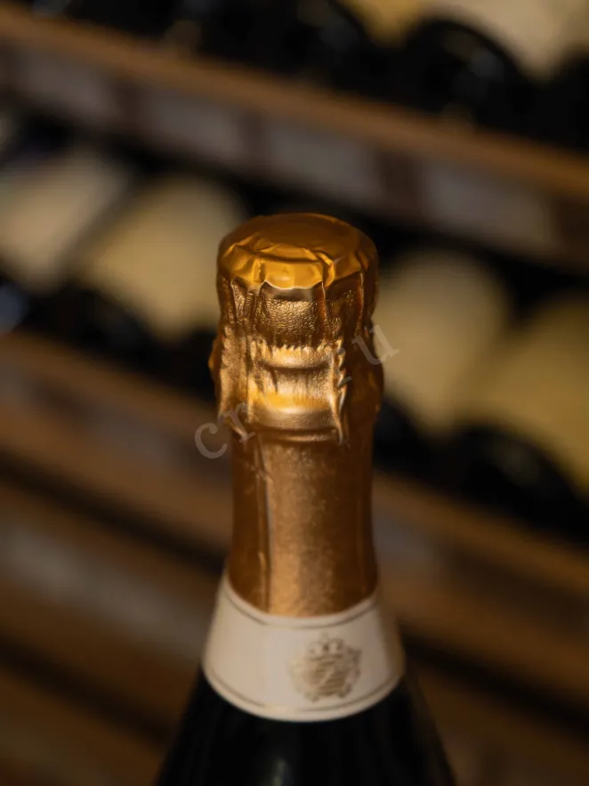 Пробка Champagne Amazone de Palmer & Co gift box 0.75 л