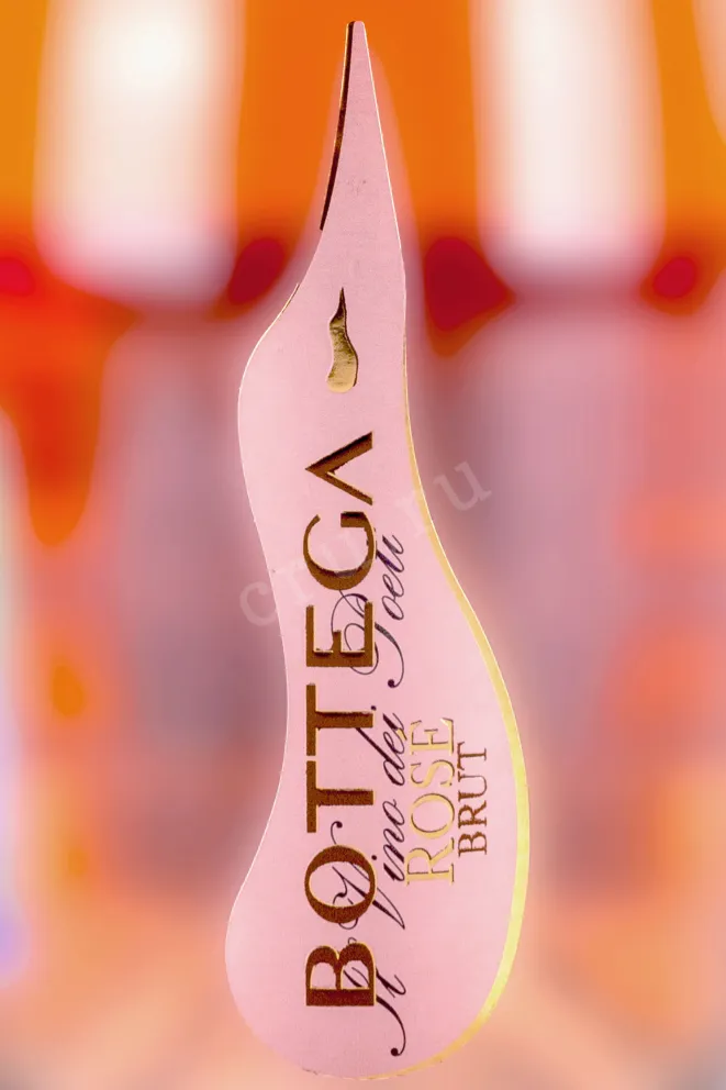 Этикетка Bottega Poeti Rose Venezia 2022 0.75 л