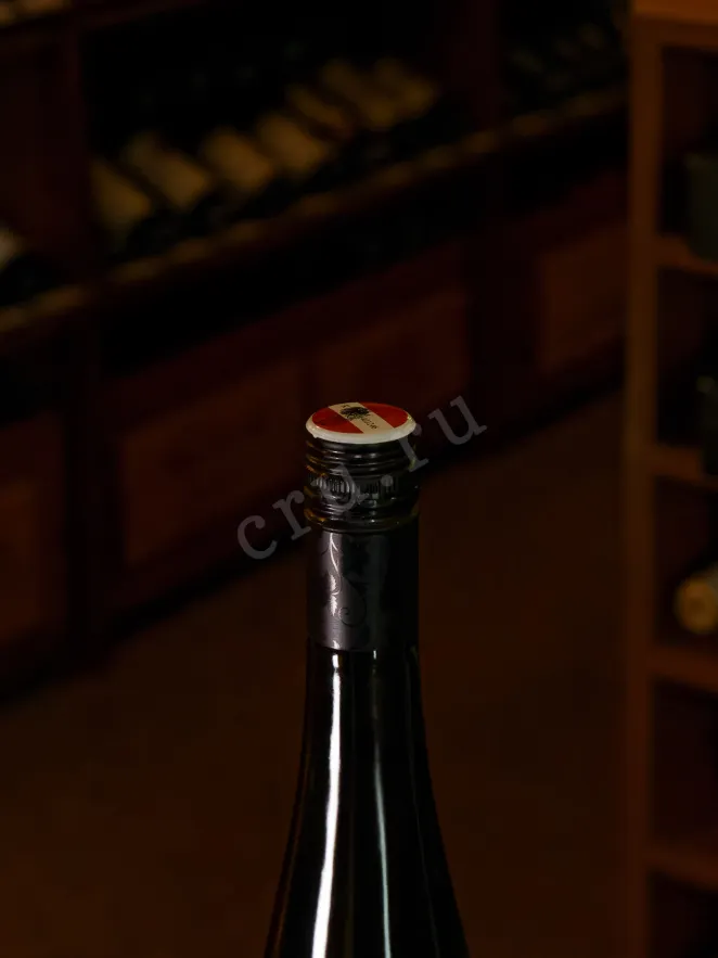 Пробка 4U Gruner Veltliner 2023 0.75 л