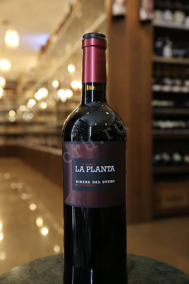 В магазине Крю Профи La Planta Arzuaga Navarro 2023 0.75 л