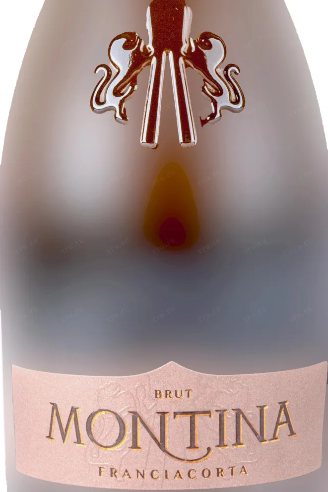 Franciacorta Brut 2023 0.75 л