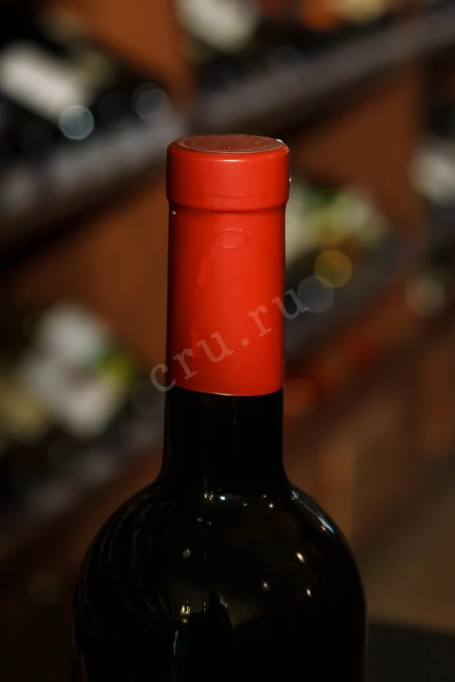 Пробка Aladari Saperavi 2022 0.75 л