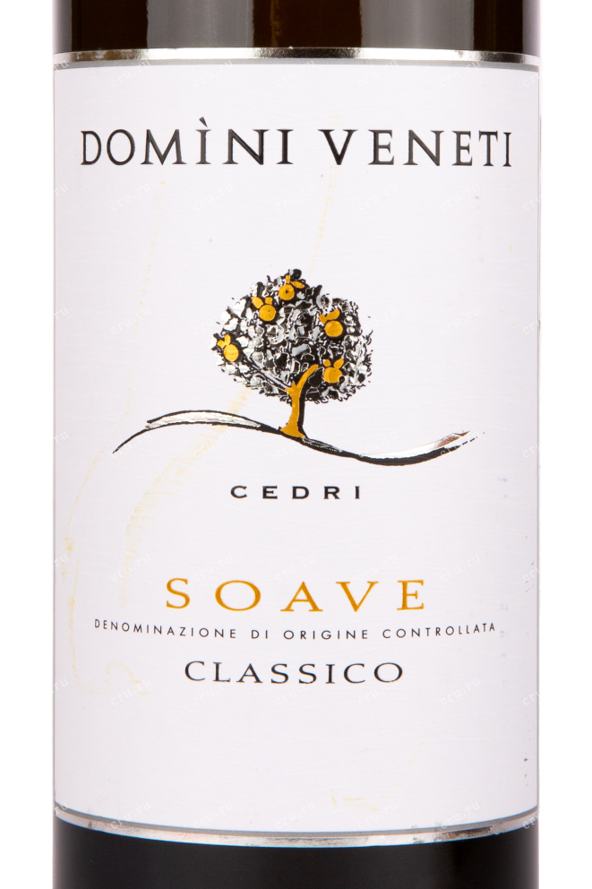 Этикетка вина Domini Veneti Pinot Grigio delle Venezie 0.75 л
