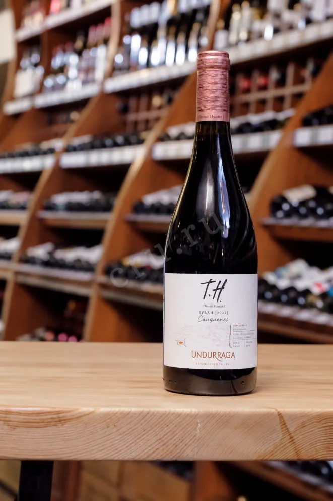 В магазине Крю Профи Undurraga TH (Terroir Hunter) Syrah DO Cauquenes  2022 0.75 л