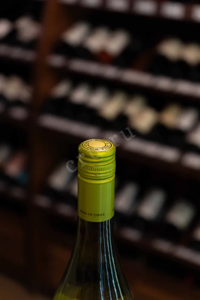 Пробка Montgras Reserva Sauvignon Blanc Leyda Valley DO 2023 0.75 л