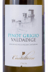 Этикетка Pinot Grigio Valdadige Casteltorre 2021 0.75 л