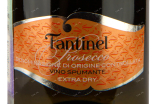 Этикетка Fantinel Extra Dry DOC 0.2 л