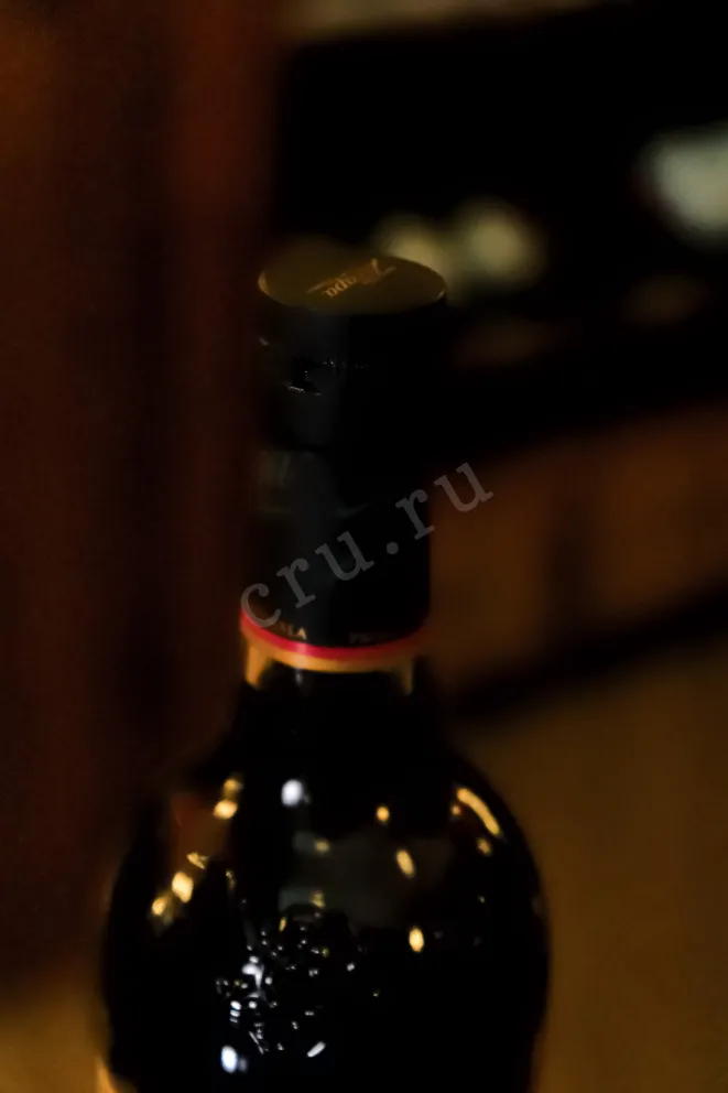 Пробка Zacapa Centenario Solera Gran Reserva 23 in gift box 0.75 л