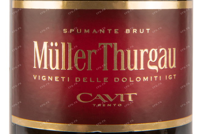 Этикетка вина Мюллер Тургау Спуманте 0,75