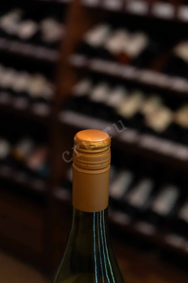 Пробка Carmen Premier Reserva Chardonnay 2023 0.75 л