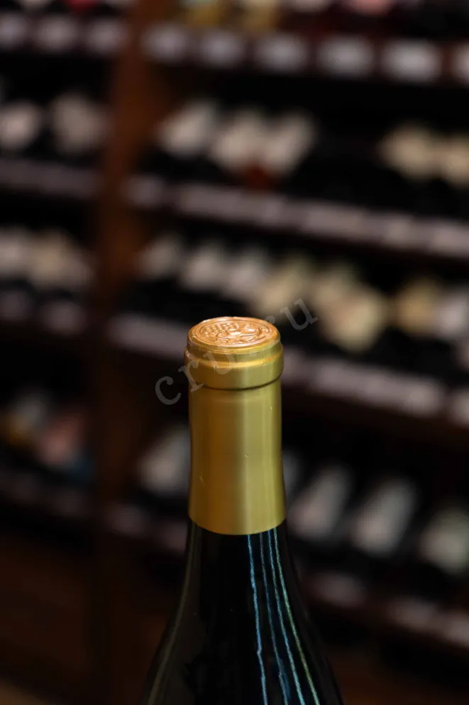 Пробка Pyramid Scheme California Pinot Noir 2023 0.75 л