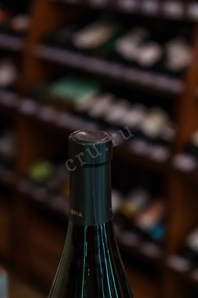 Пробка Mancopia Reserve Syrah 2023 0.75 л