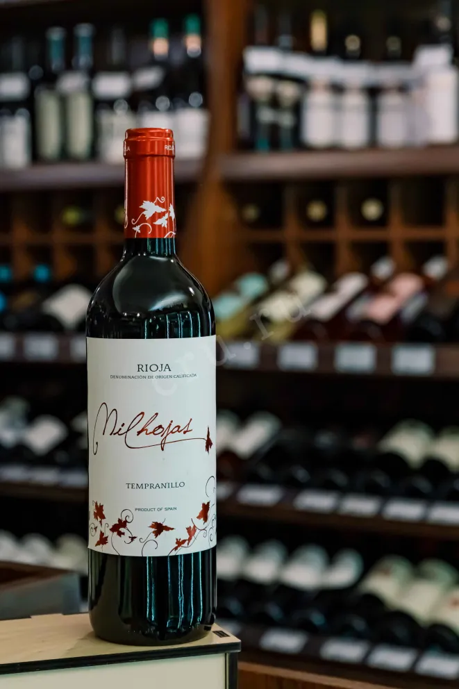 В магазине Крю Профи 1000 Mil Hojas Rioja Tempranillo DOC 2023 0.75 л
