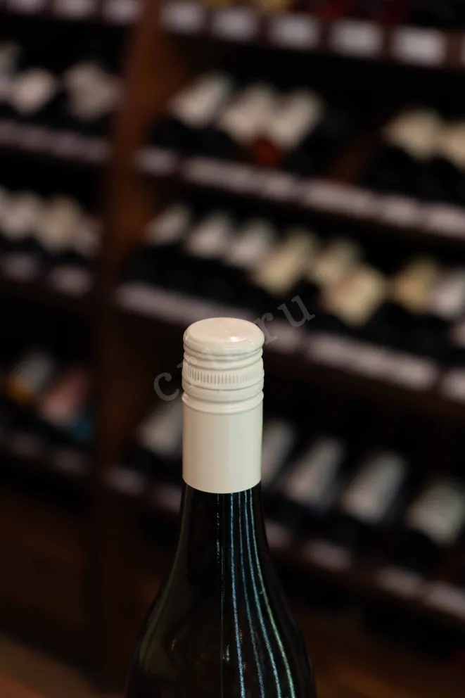 Пробка Wild Beast Rhinofly Sauvignon Blanc 2023 0.75 л