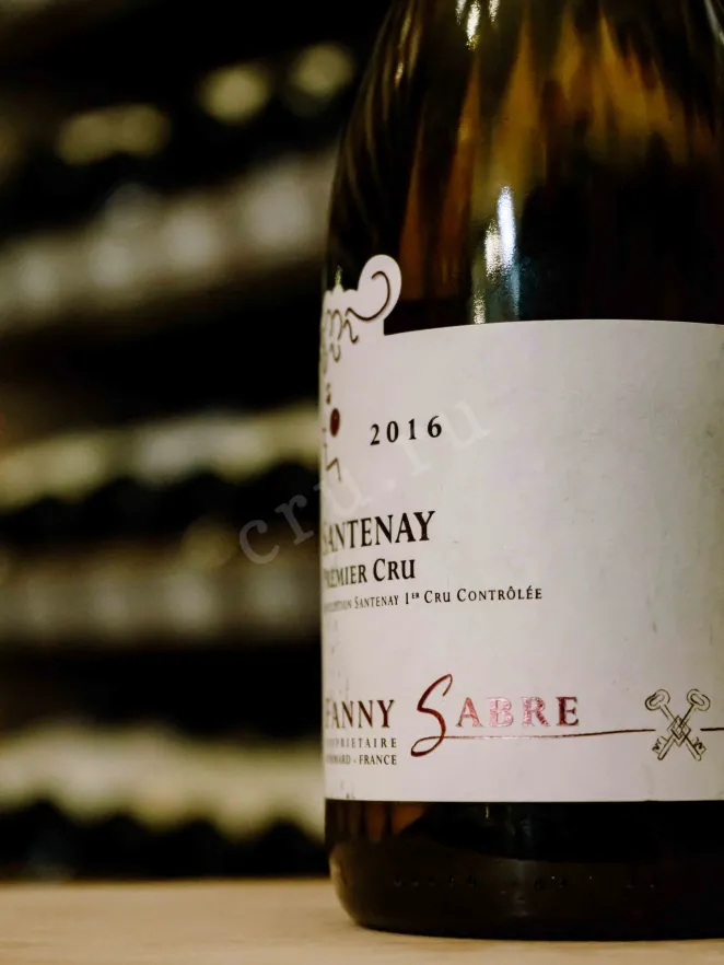 В магазине Крю Профи Santenay Premier Cru Fanny Sabre 2016 0.75 л