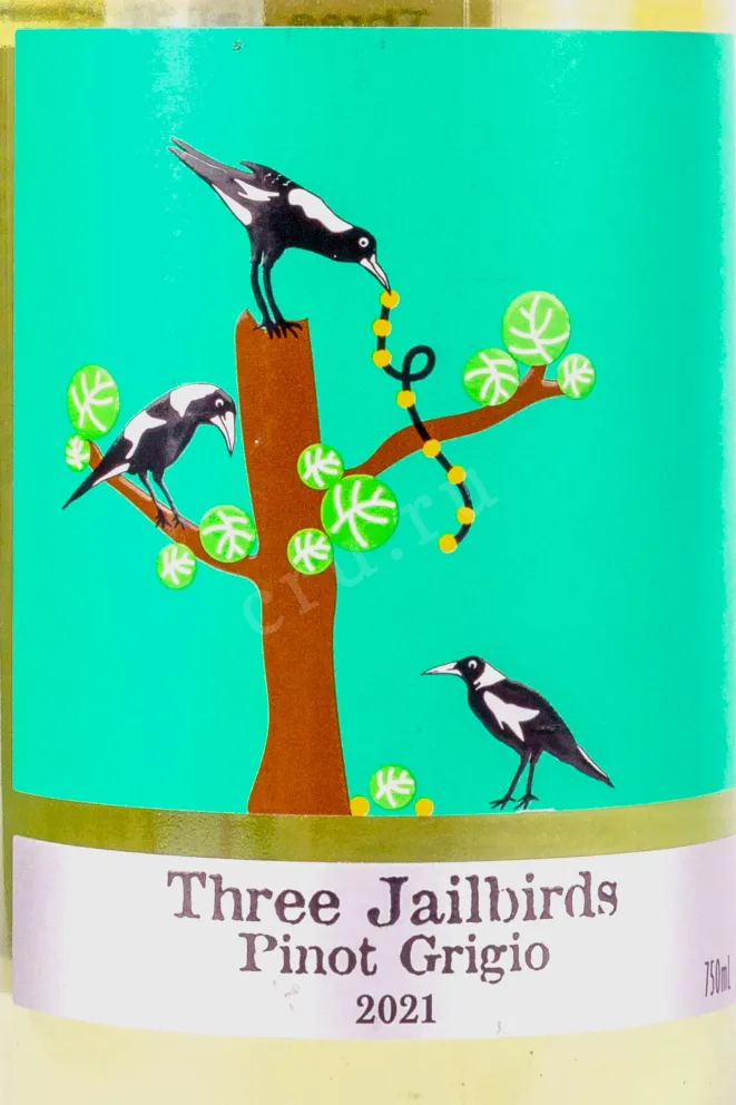 Этикетка Three Jailbirds Pinot Grigio 2021 0.75 л