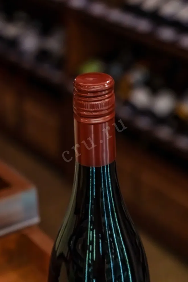 Пробка Paddleboard Cellars Pinot Noir 2020 0.75 л