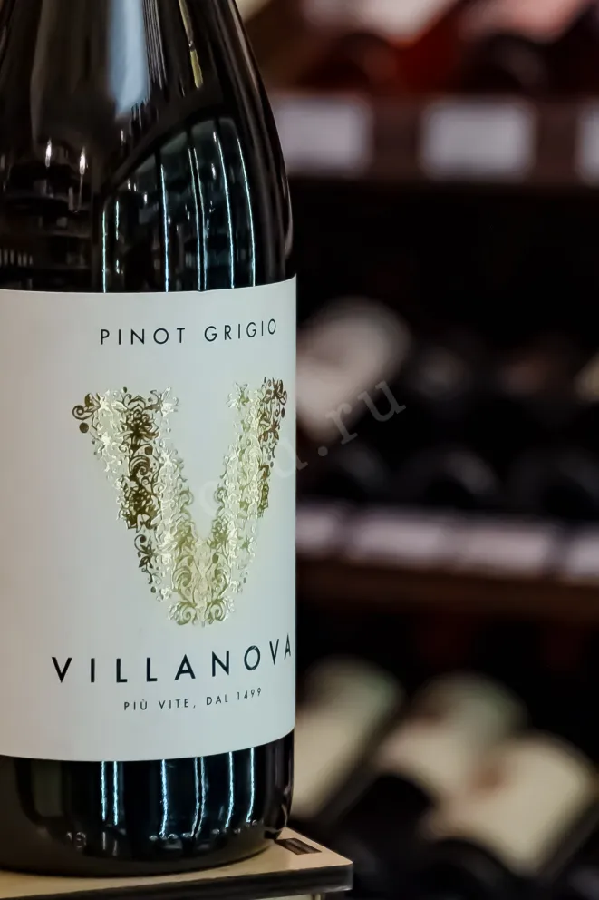 В магазине Крю Профи Villanova Pinot Grigio Collio 2021 0.75 л