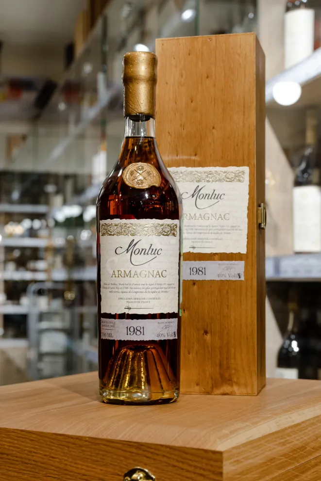В магазине Крю Профи Monluc 1981 0.7 л