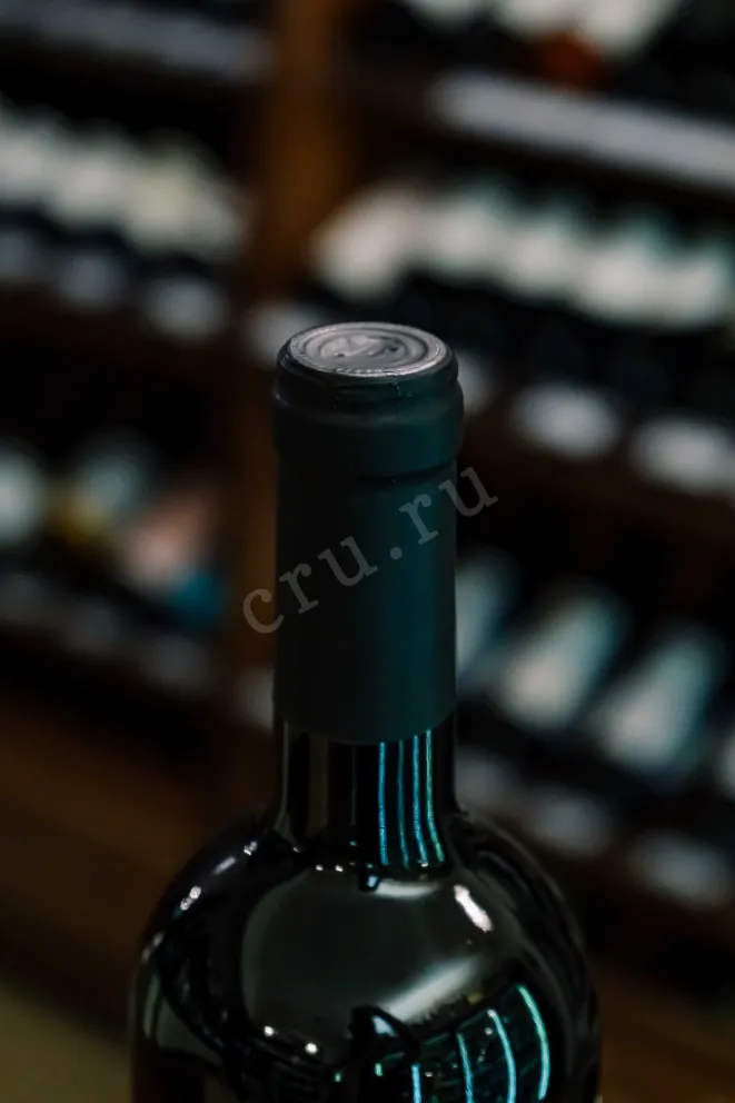 Пробка Castellani Primitivo Duca Sargento IGT 2022 0.75 л
