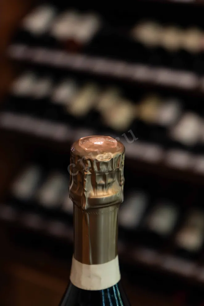 Пробка Thierry Fournier Les Grands Champs Meunier Extra Brut  2020 0.75 л
