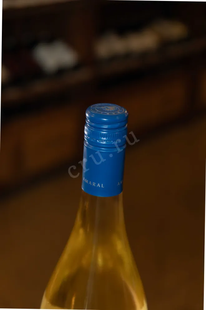 Пробка Montgras Amaral Sauvignon Blanc Valle De Leyda DO 2022 0.75 л