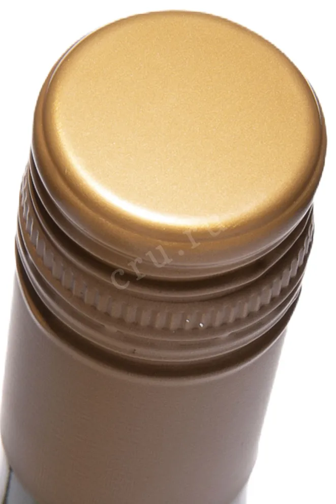 Пробка Carmen Premier Reserva Chardonnay 2023 0.75 л