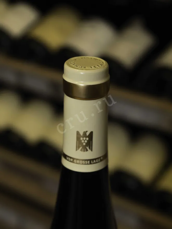 Пробка Karl Schaefer Ungsteiner Weilberg Riesling GG 2020 0.75 л