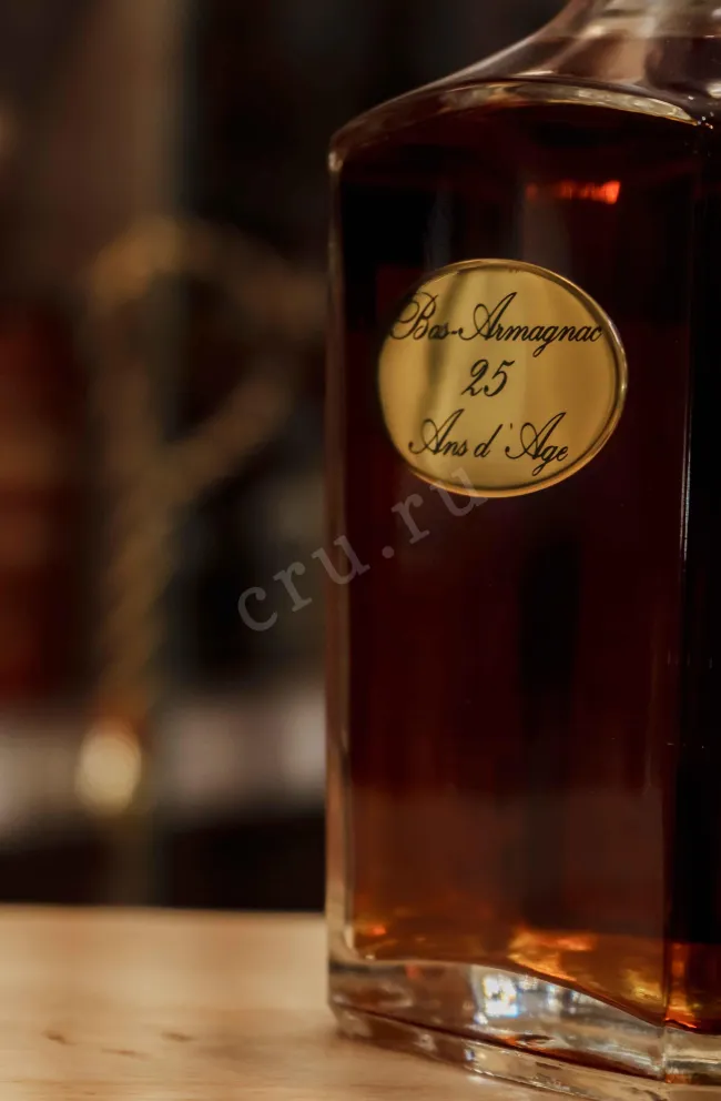 В магазине Крю Профи Baron de Sigognac Carafe 25 ans 0.7 л