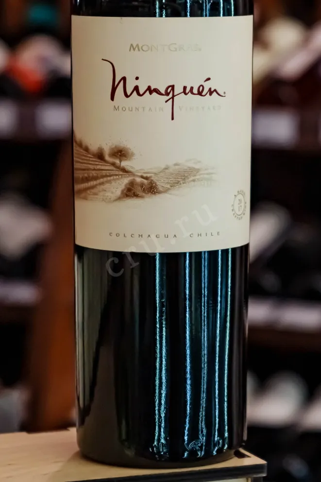 В магазине Крю Профи MontGras Ninquen Moutain Vineyard DO Valle del Colchagua 2017 0.75 л