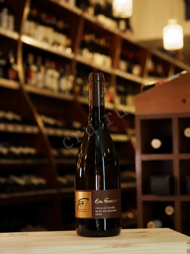В магазине Крю Профи Eric Forest Mise En Bouche Pouilly-Fuisse AOC 2023 0.75 л