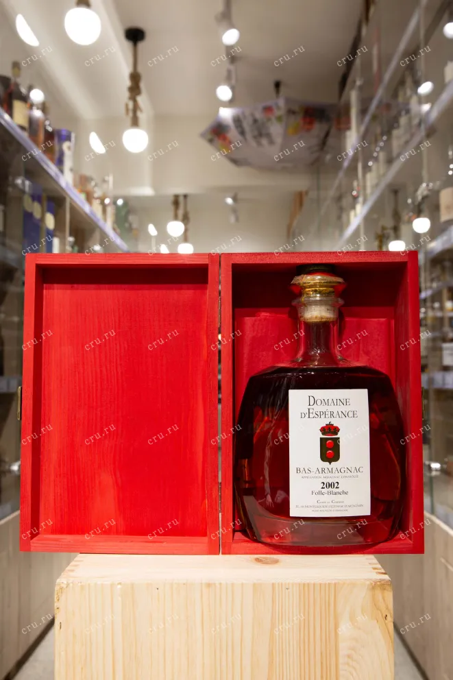В магазине Крю Профи Bas-Armagnac Folle-Blanche Domaine d'Esperance 2002 0.7 л