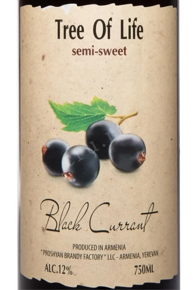 Вино Tree Of Life Black Currant 0.75 л