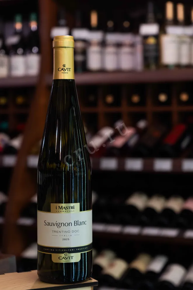 В магазине Крю Профи Mastri Vernacoli Sauvignon Blanc 2023 0.75 л