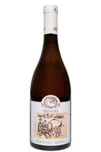 Вино Artwine Rkatsiteli Qvevri 2022 0.75 л