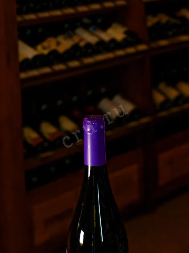 Пробка Picunche Carmenere Valle Central 2024 0.75 л