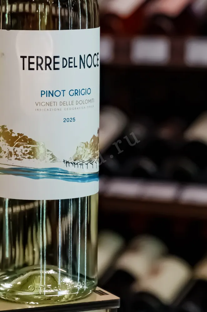 Пробка Mezzacorona Terre del Noce Pinot Grigio 2025 0.75 л