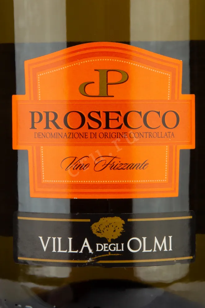 Этикетка Villa Degli Olmi Frizzante  2021 0.75 л